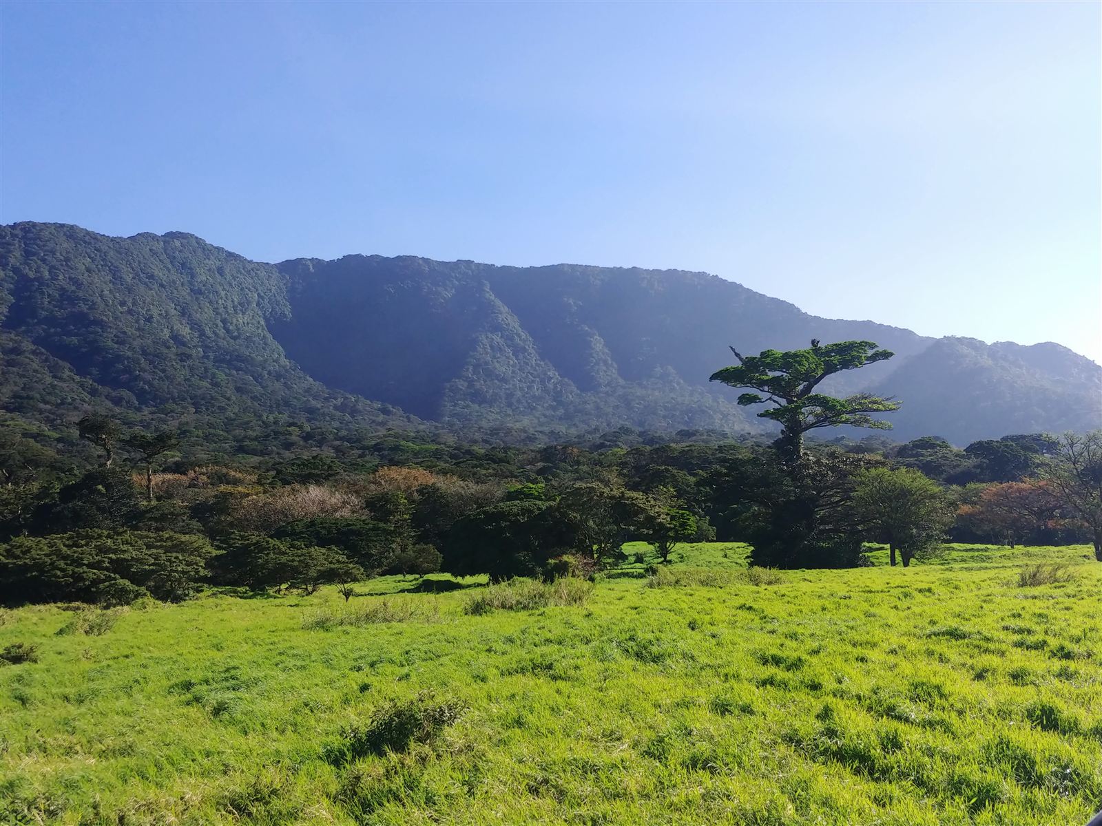 Volcán Cacao above the pastures