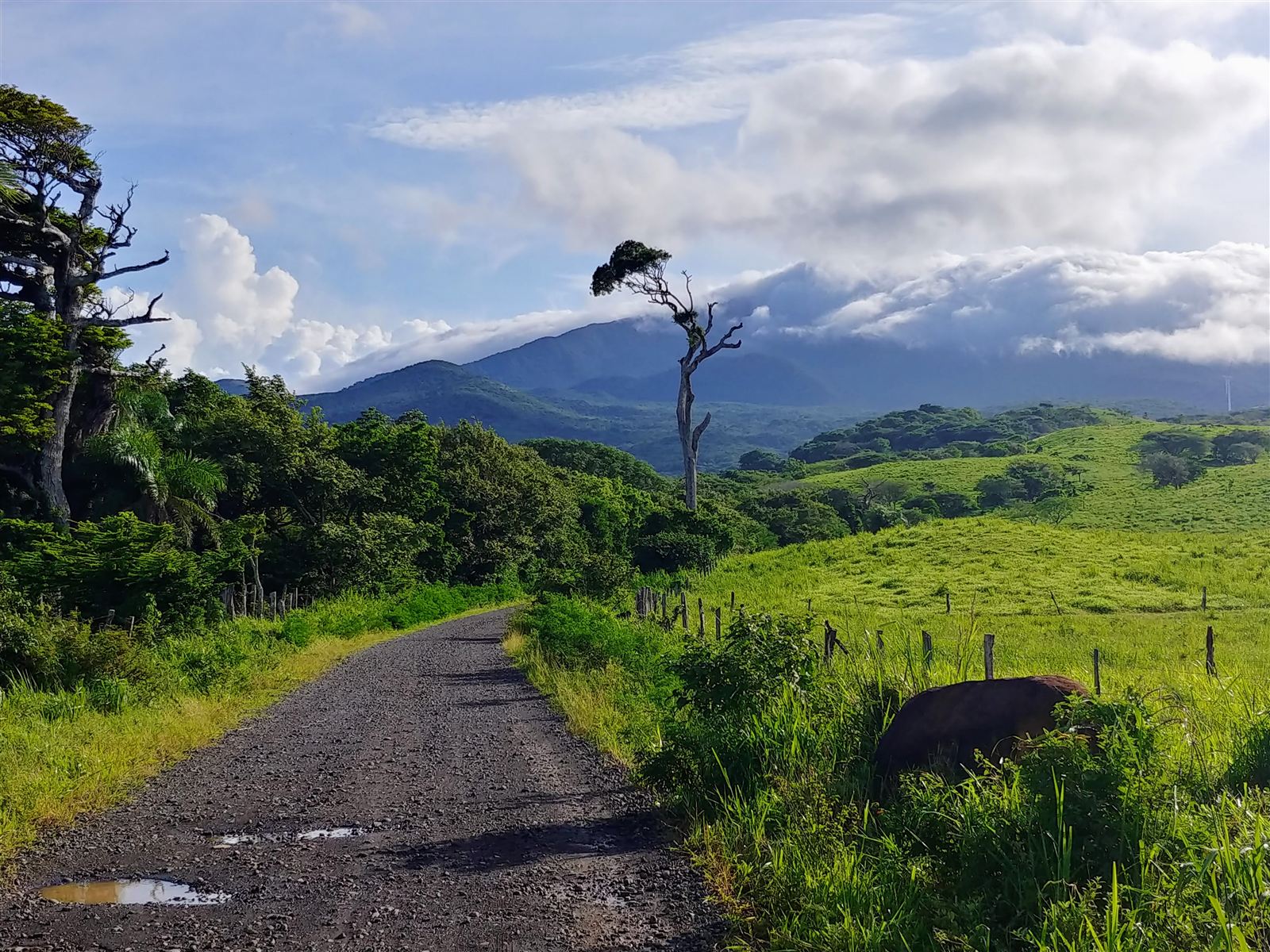 The road to Góngora