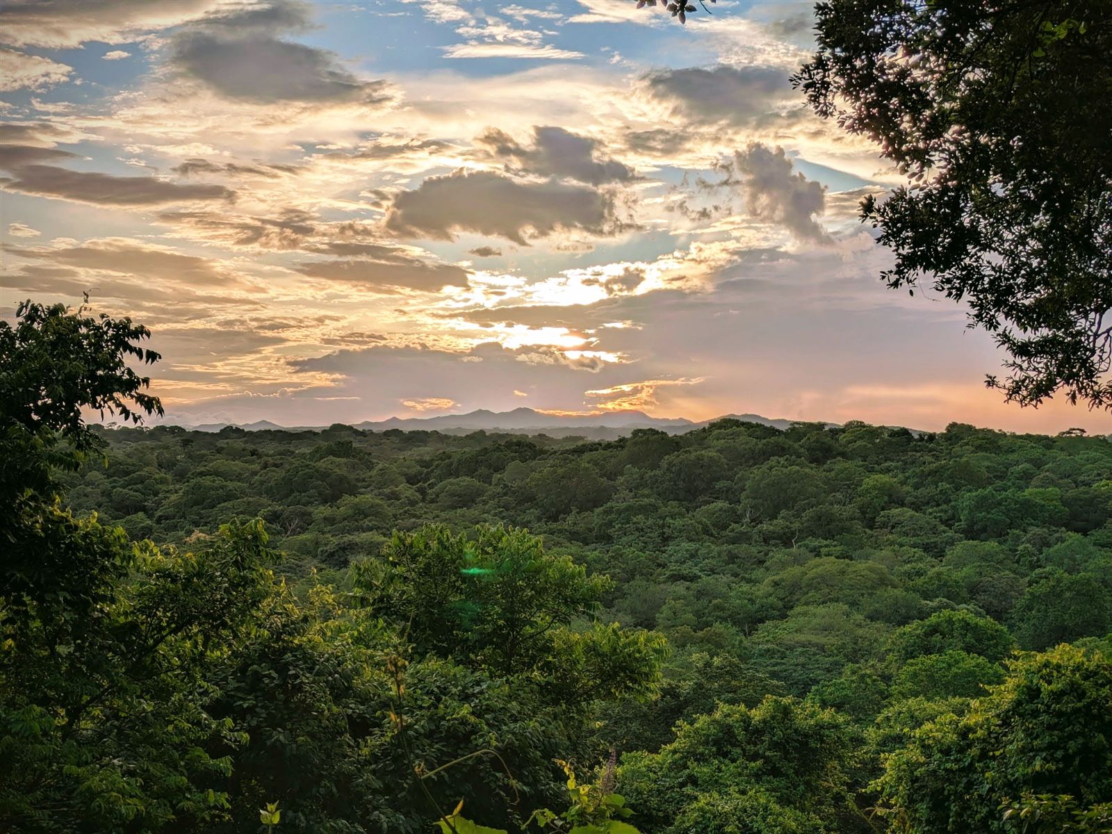 The same view in the rainy season, at sunset